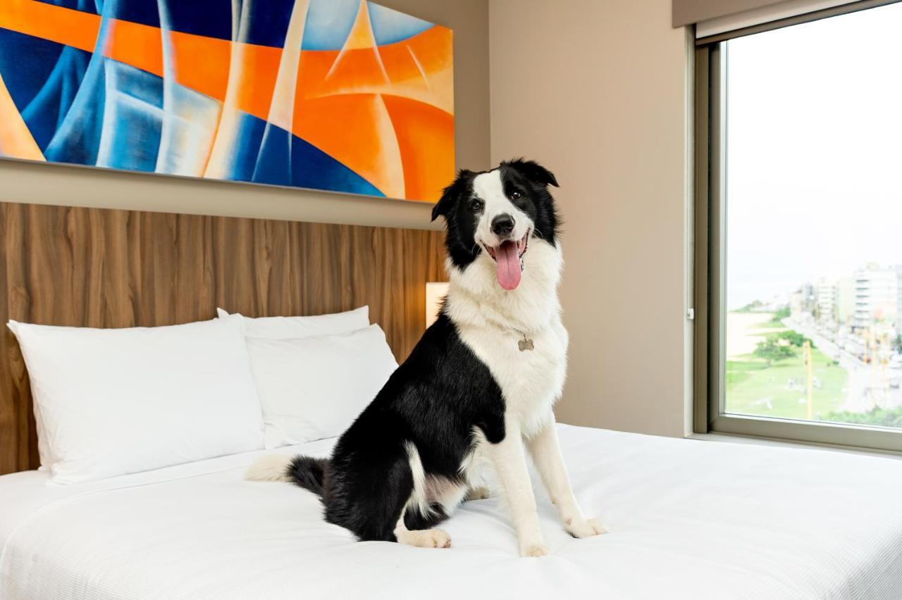 Hyatt Place 4* Macae